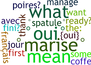 view.wordcloud.png